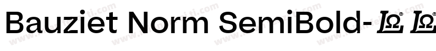 Bauziet Norm SemiBold字体转换